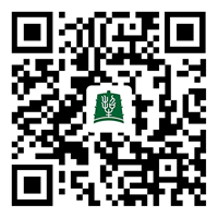 招生政策配图
